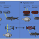 Illustration for article titled Deep sea cephalopods can switch between transparent or opaque for better camouflage